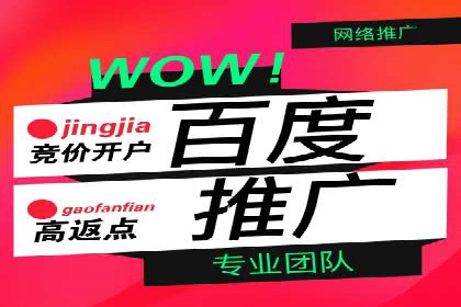 百度竞价排名服务：实战案例解析与优化技巧